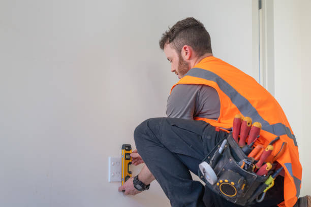 Best Electric Panel Repair  in Williamstown, NJ